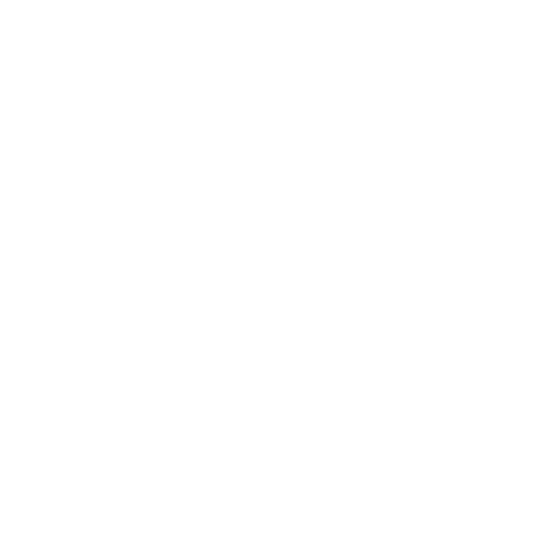 PhoneIcon